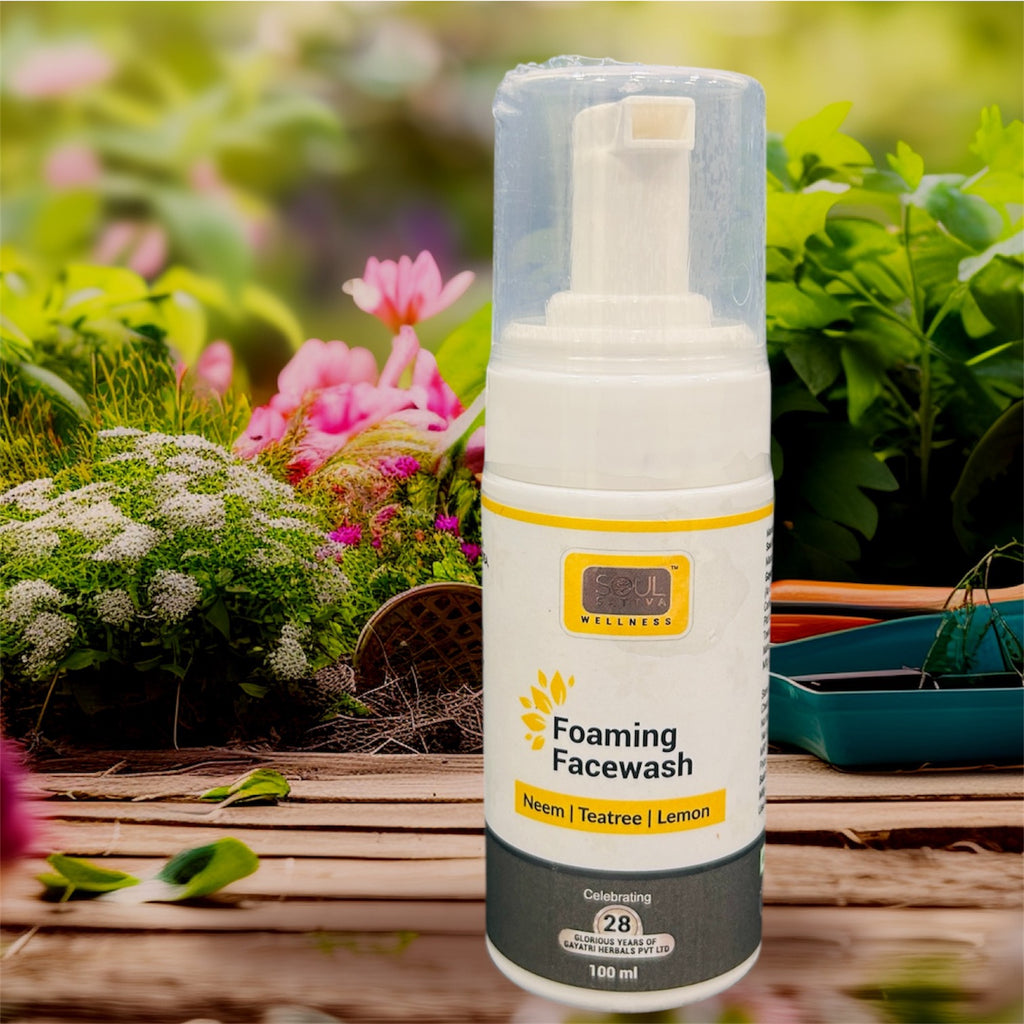 SoulSattva Foaming Facewash 100ml
