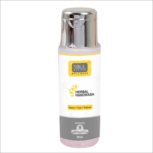 SoulSattva Herbal Handwash Mini